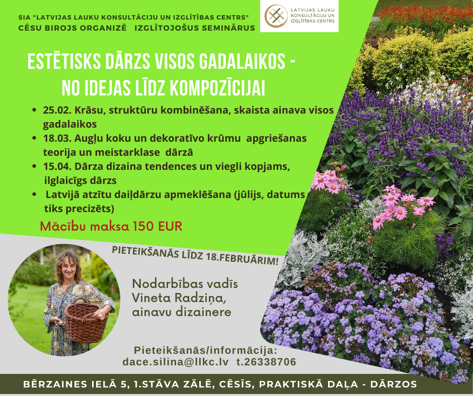 Estētisks dārzs visos gadalaikos – no idejas līdz kompozīcijai