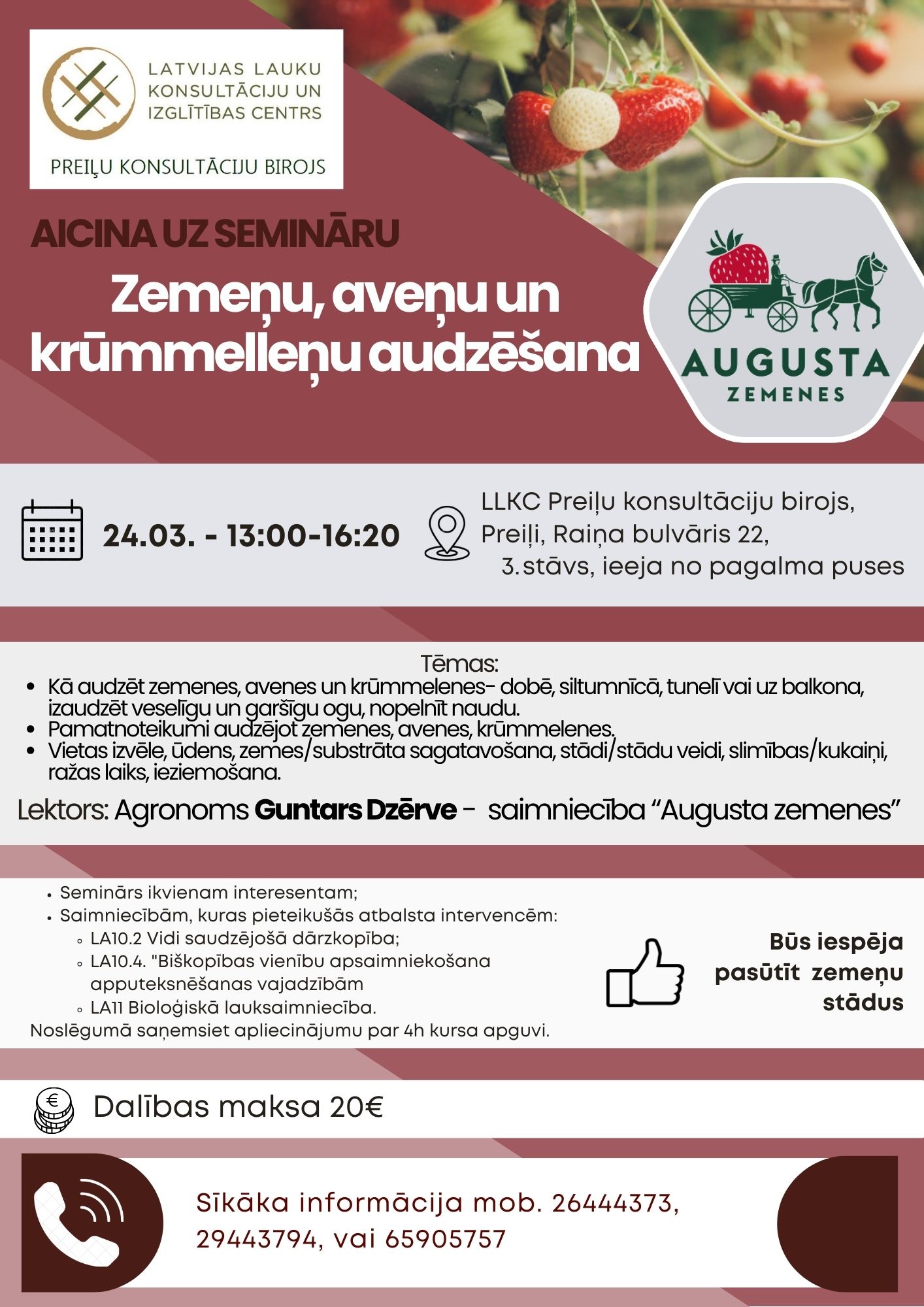 Zemeņu, aveņu un krūmmelleņu audzēšana. 4h