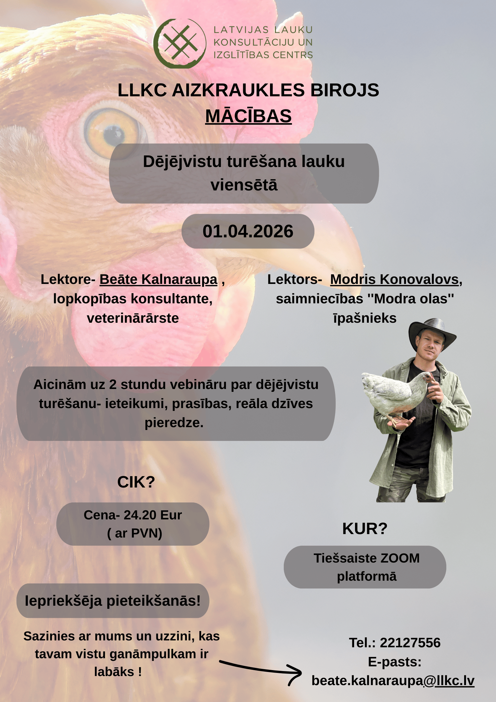 Dējējvistu turēšana lauku viensētā