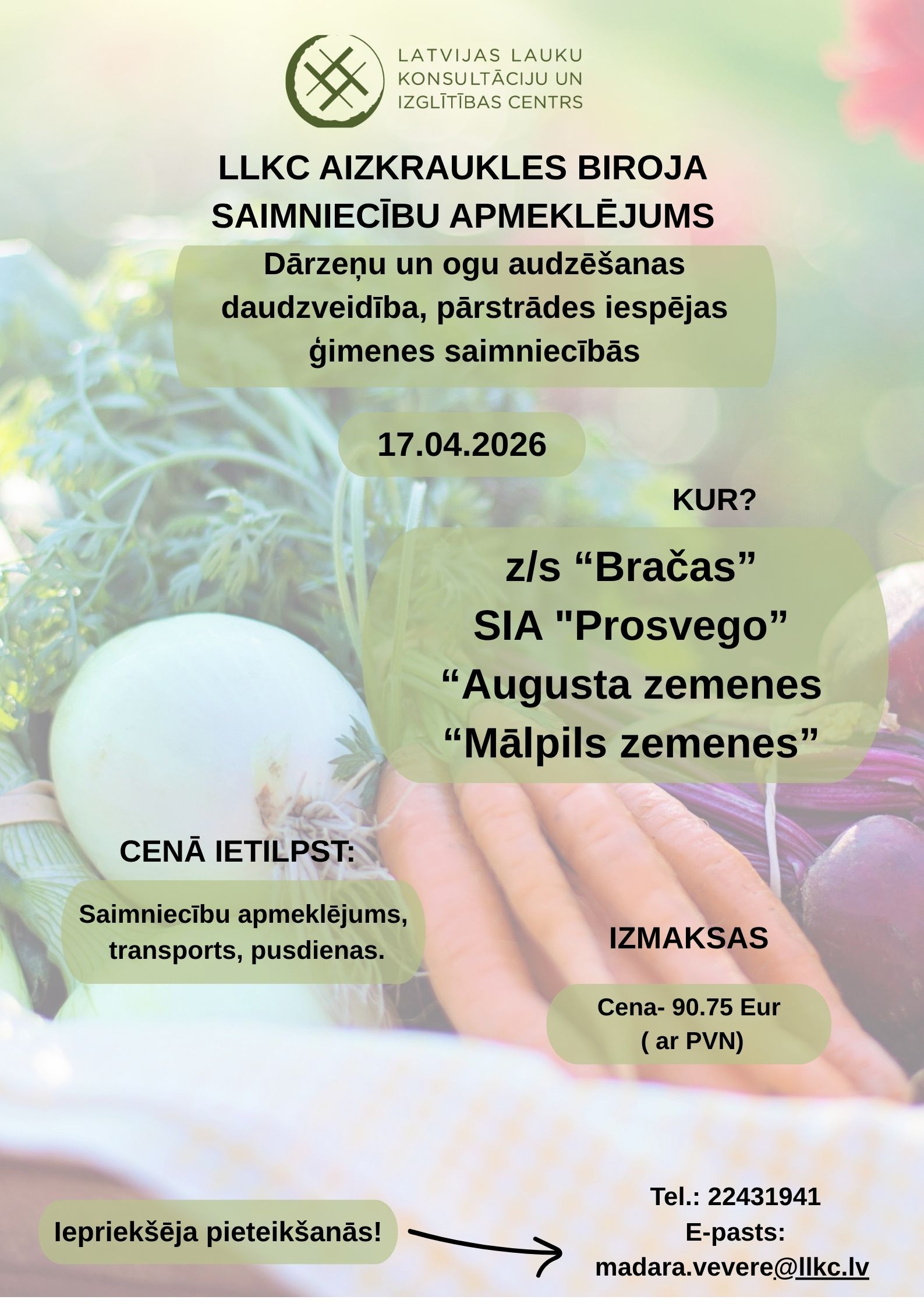 Dārzeņu un ogu audzēšanas daudzveidība, pārstrādes iespējas ģimenes saimniecībās