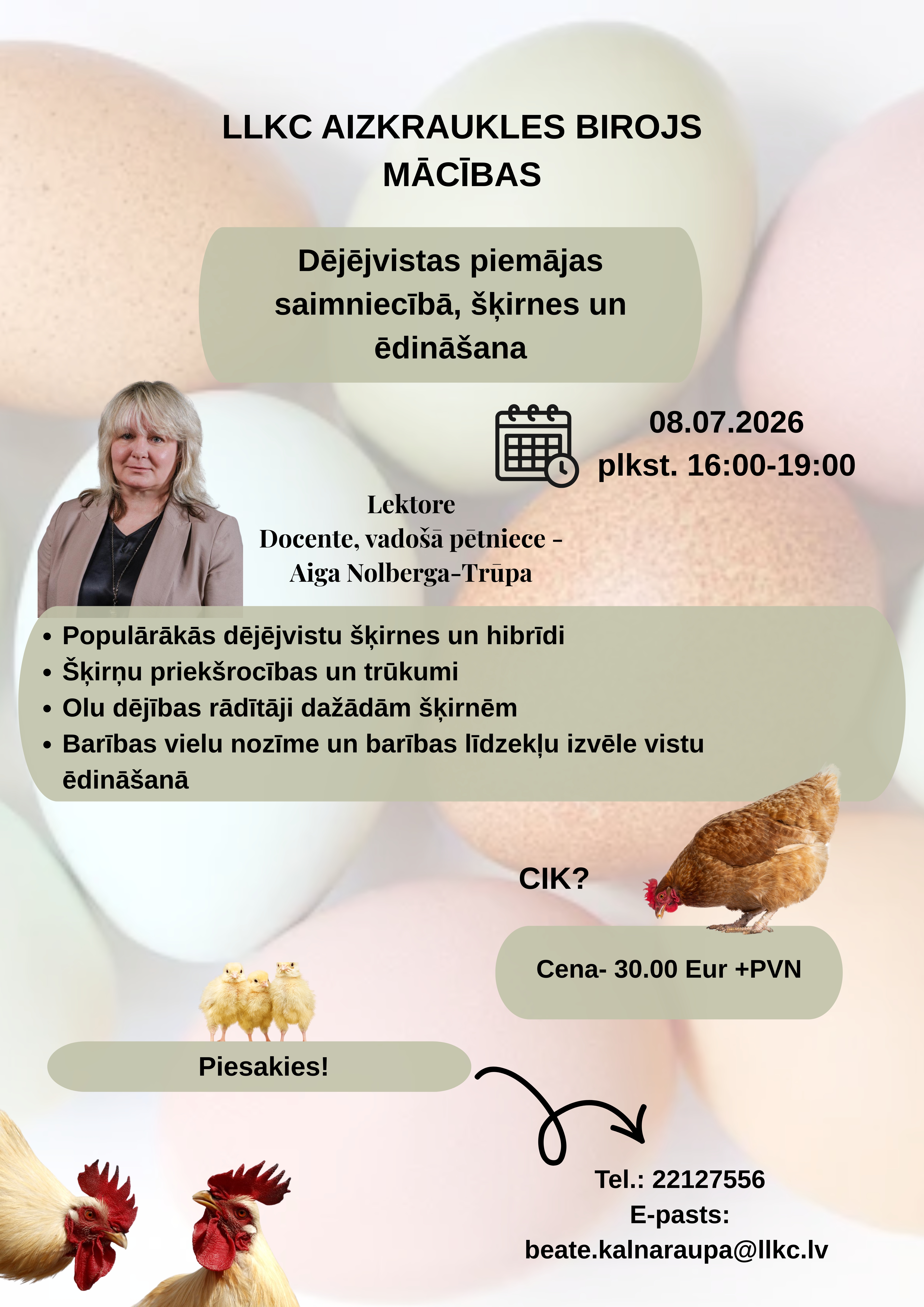 Dējējvistas piemājas saimniecībā, šķirnes un ēdināšana